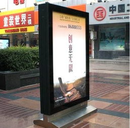 岢岚木苗在哪卖得火？质量与口碑俱佳的选购指南